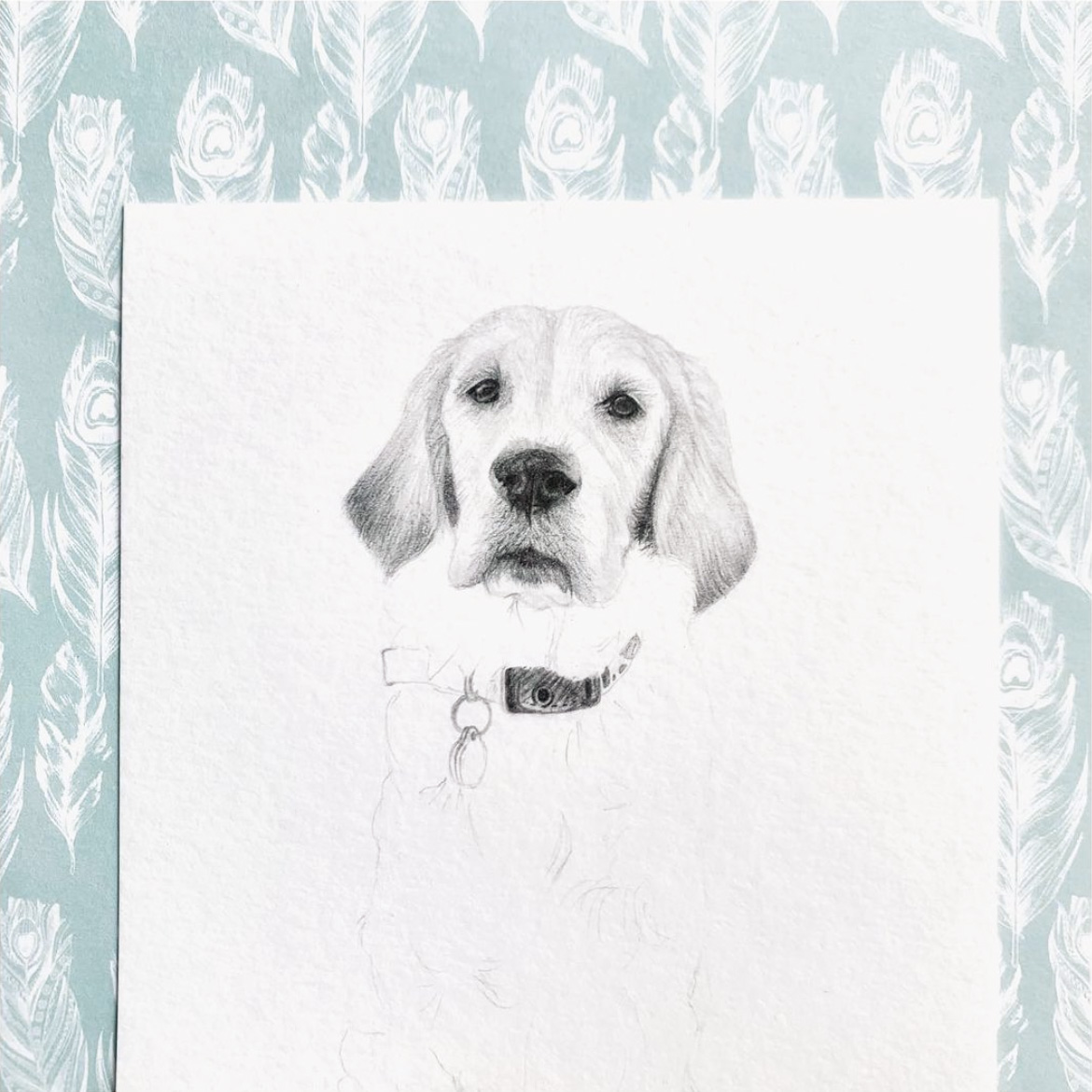 kamilia boyes animal art sketch