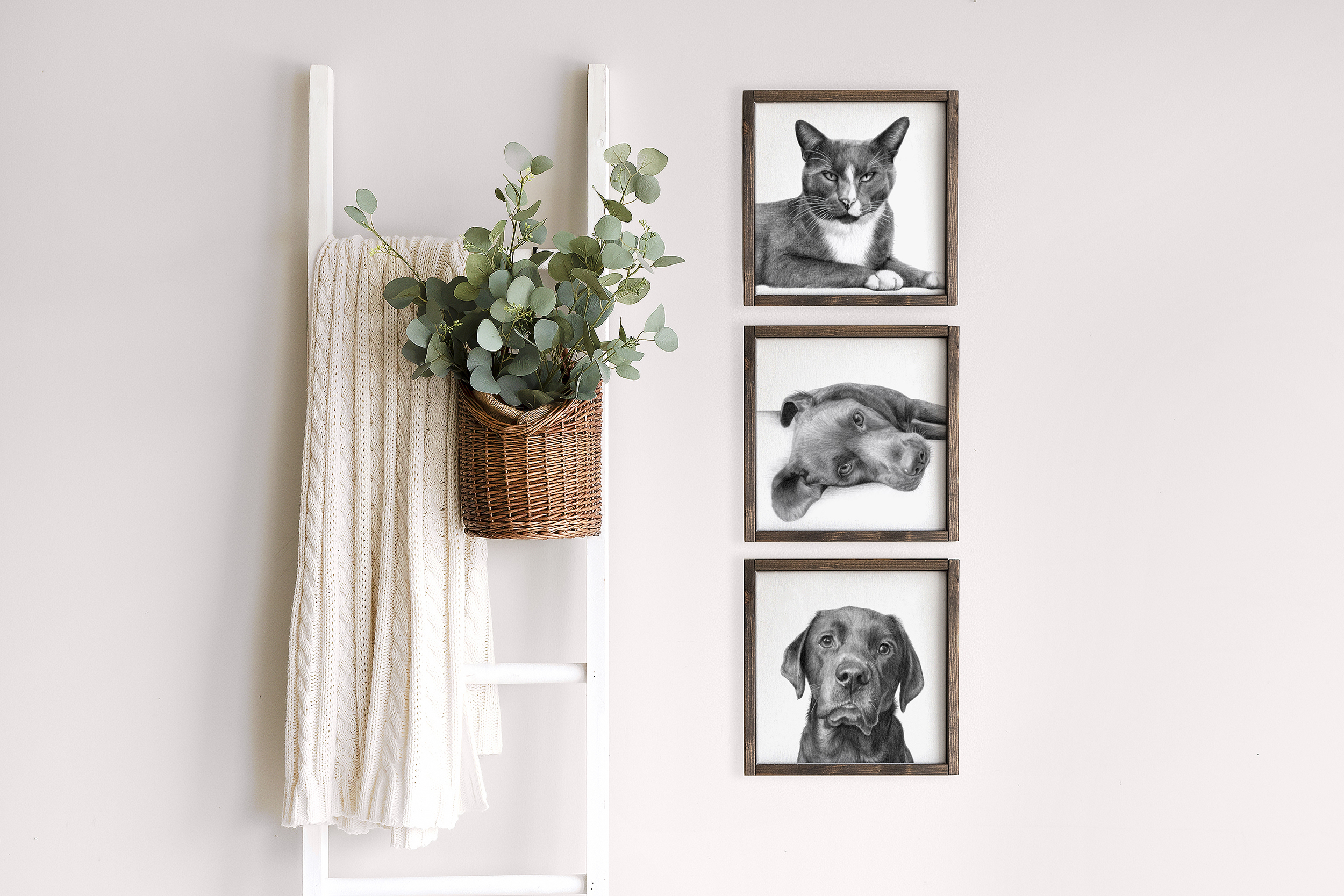 main banner image cat dog 