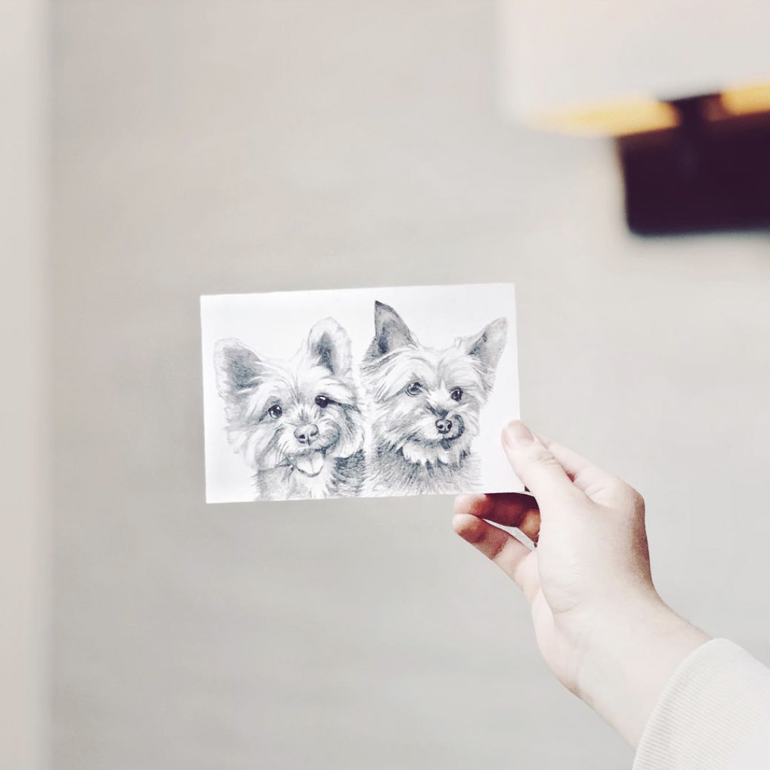 animal sketch artist